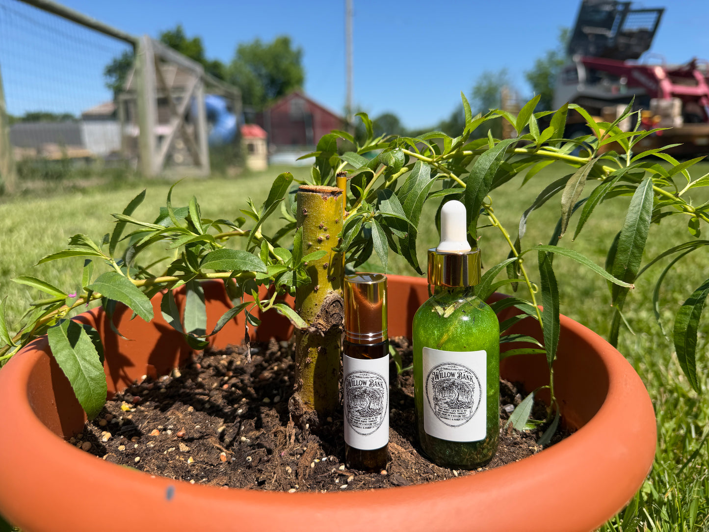 Willow Bank Spell Oil