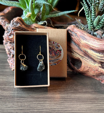 Dalmatian Jasper Earrings